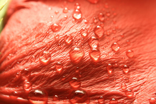 水