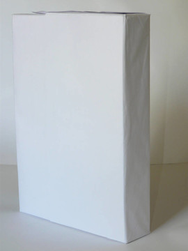 電子書