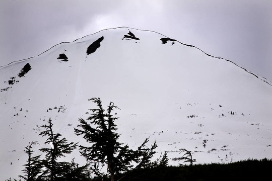 白雪山輪廓樹西沃德公路錨地阿拉斯加
