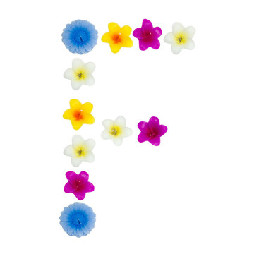 字母F