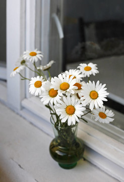束camomiles