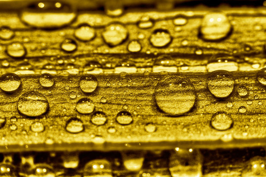 水金