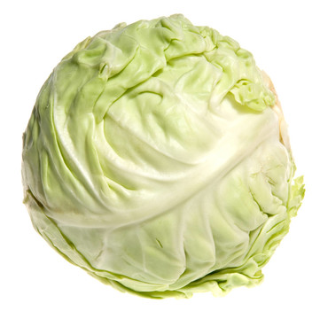 白菜