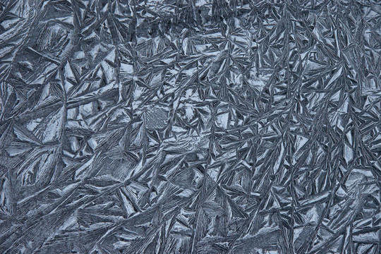 Frozen的春天
