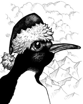 Penguin先生