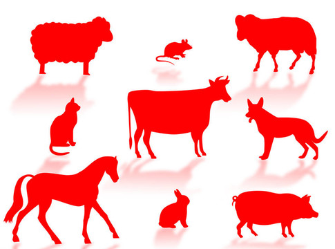 農(nóng)場里的動物