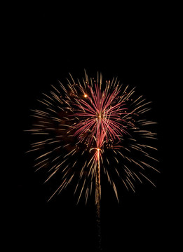 fireworks_8265