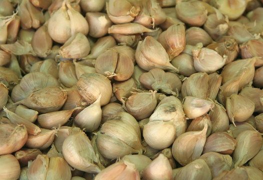 大量的蒜
