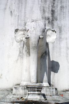 大象