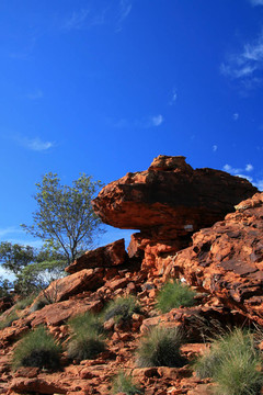 watarrka國家公園；澳大利亞金斯坎寧；