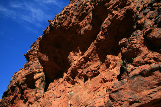 watarrka國家公園；澳大利亞金斯坎寧；