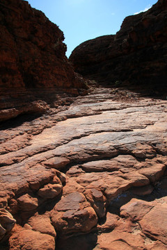 watarrka國家公園；澳大利亞金斯坎寧；
