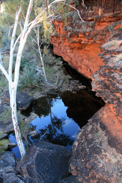 watarrka國家公園；澳大利亞金斯坎寧；
