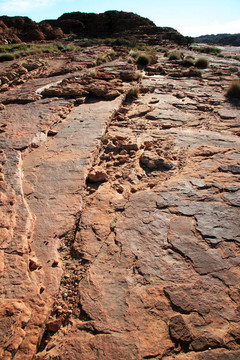 watarrka國家公園；澳大利亞金斯坎寧；