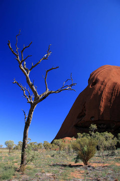 烏盧魯巨石；Ayres Rock；澳大利亞