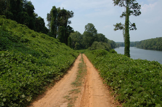 沿著葛路