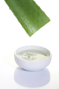 蘆薈