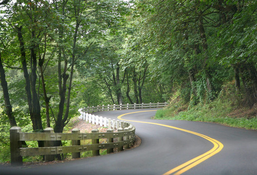 蜿蜒的道路