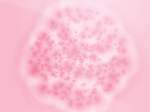 細(xì)菌細(xì)胞生長(zhǎng)說明