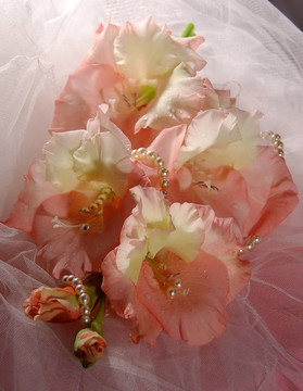 婚禮花束的唐菖蒲