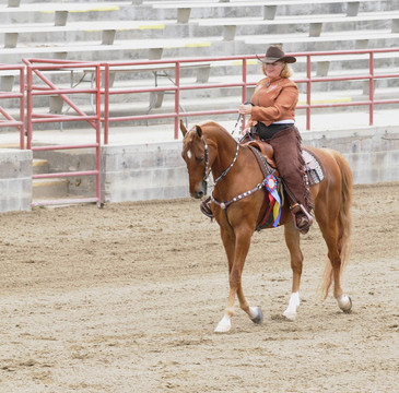 女人騎著Saddlebred horse