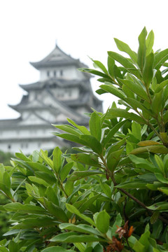 姬路城；日本