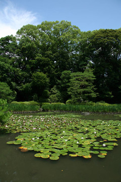 平安寺；京都；日本