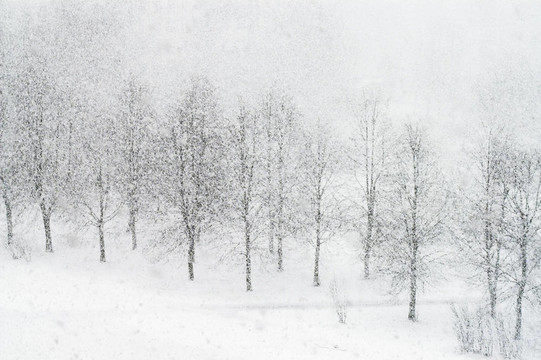 強降雪的城市