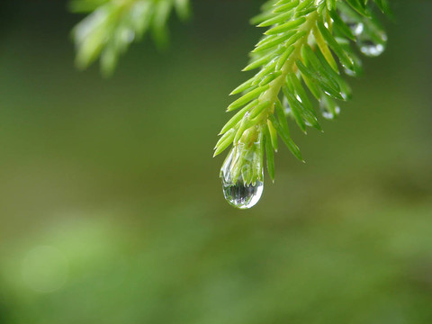 雨滴
