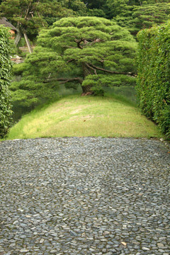 kastura皇城村；京都；日本