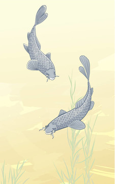 兩錦鯉魚