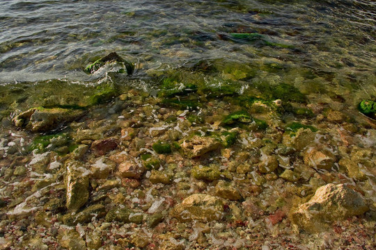 海灘
