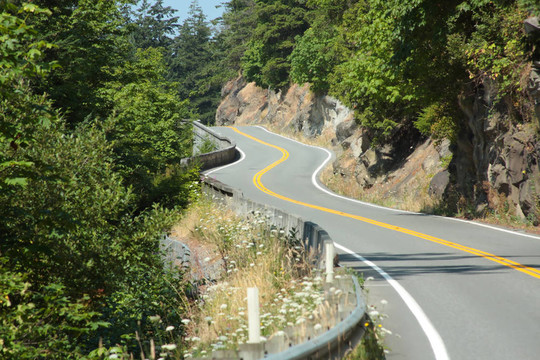 蜿蜒的森林公路