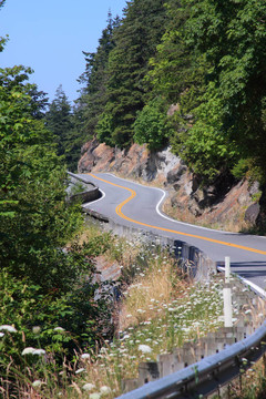 夏天，蜿蜒的道路