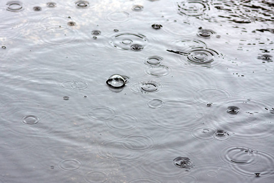 一滴雨