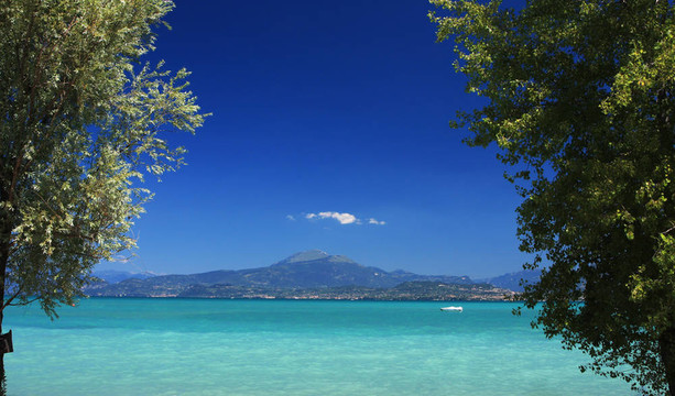 夏天的場景