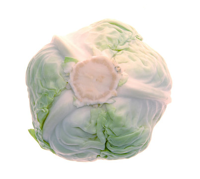 甘藍(lán)