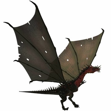 夢(mèng)幻龍