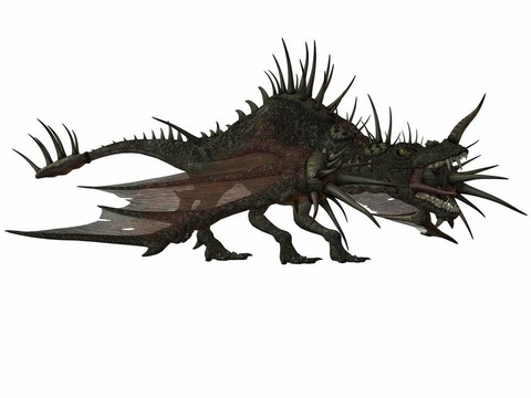 夢(mèng)幻龍