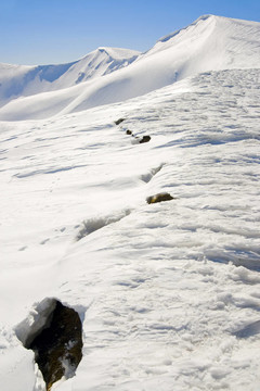 未來雪崩的跡象