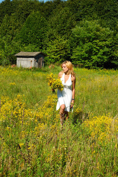 meadow1