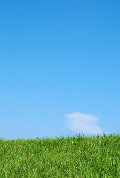 grass4