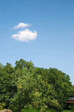 cloudscape1
