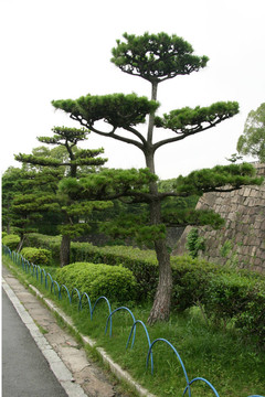 大阪城堡；大阪；歷史日本