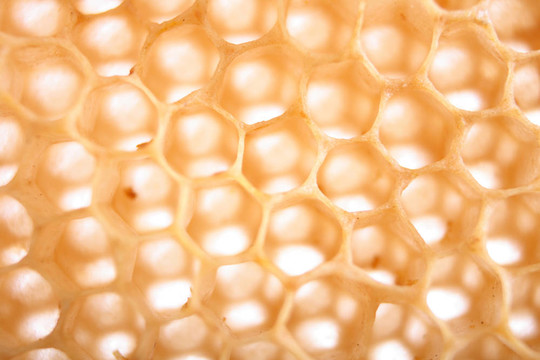 親愛的紋理