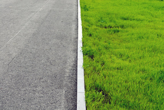 道路草坪