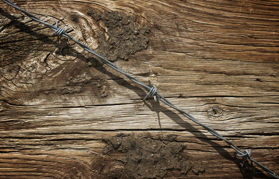 年邁的Wood