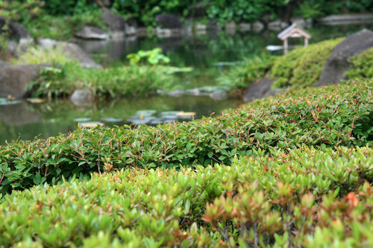 花園六本木新城；東京；日本