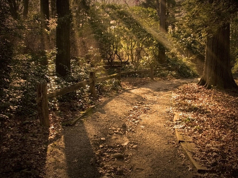 陽光之路