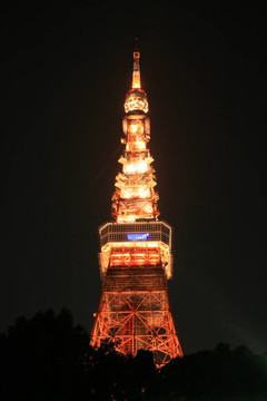 夜間東京塔；東京；日本